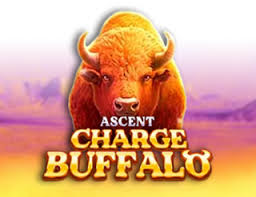 Charge Buffalo