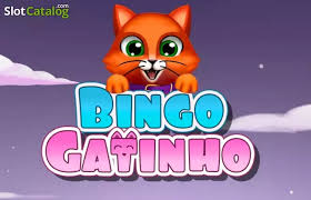Bingo Gatinho